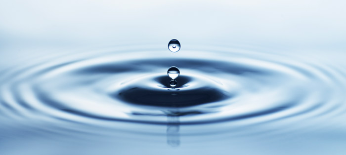 Water: Is There A Mind-Body Connection?