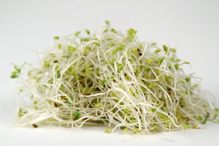 Super Food Highlight: Benefits of Alfalfa