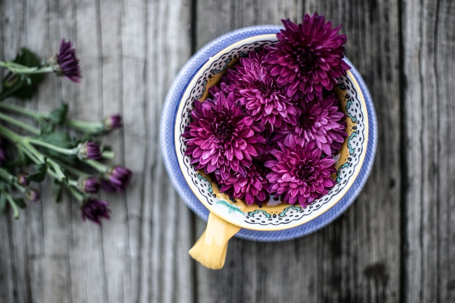 Flower Essence Therapy: Utilizing The Healing Energy Of Plants
