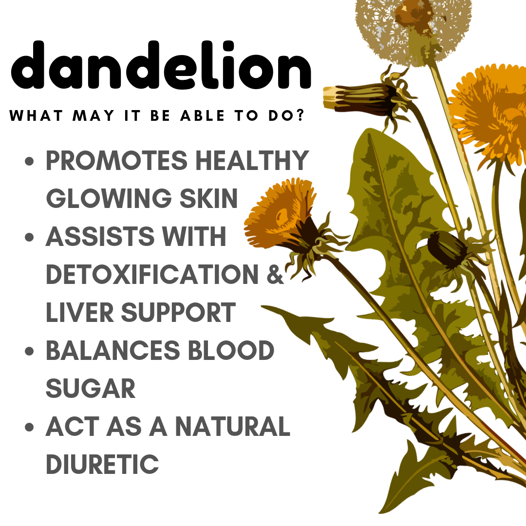 Dandelion Greens & Root: The Health Benefits & Five Ways To Use It