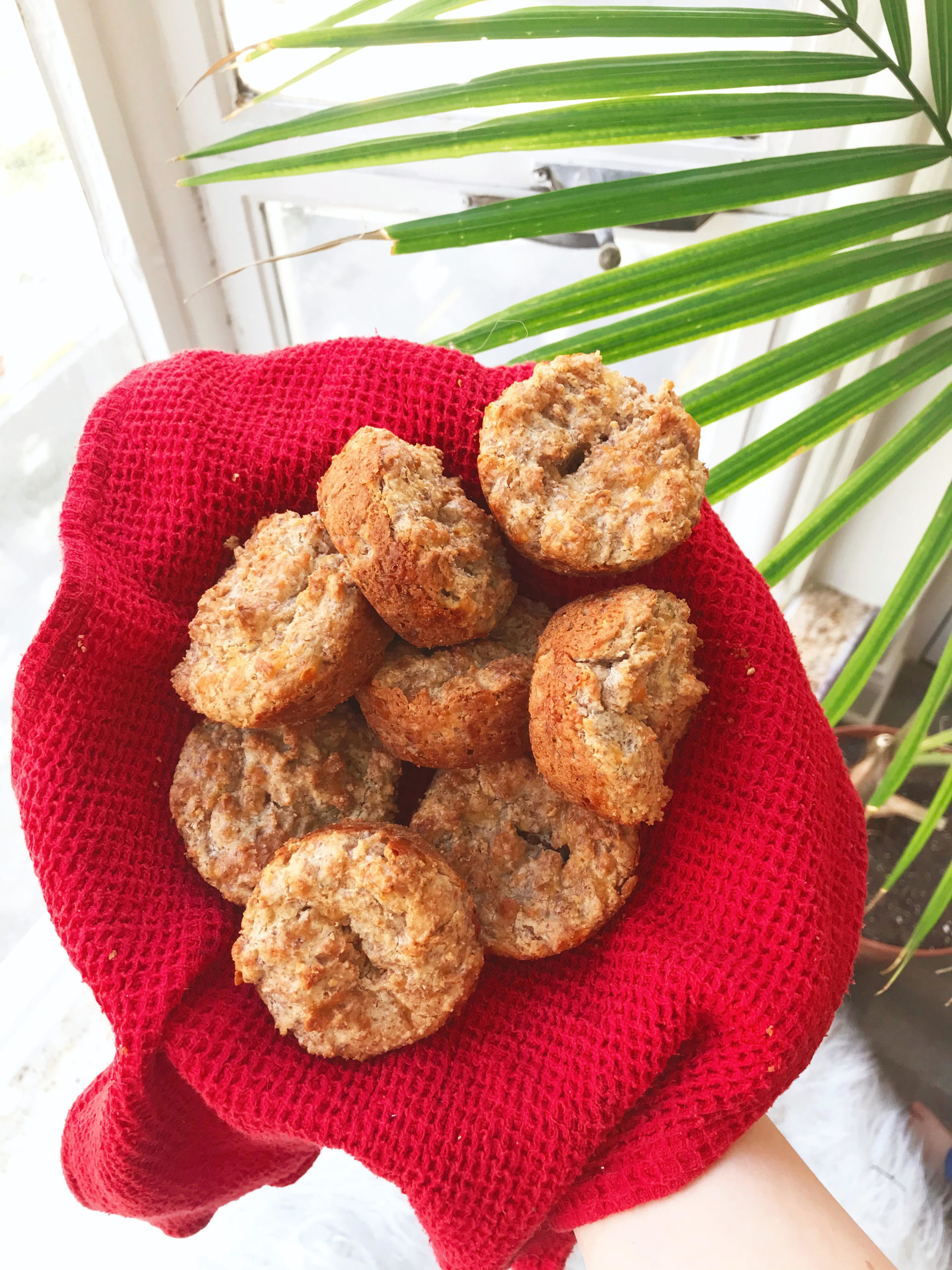 cheesy jalapeno biscuits